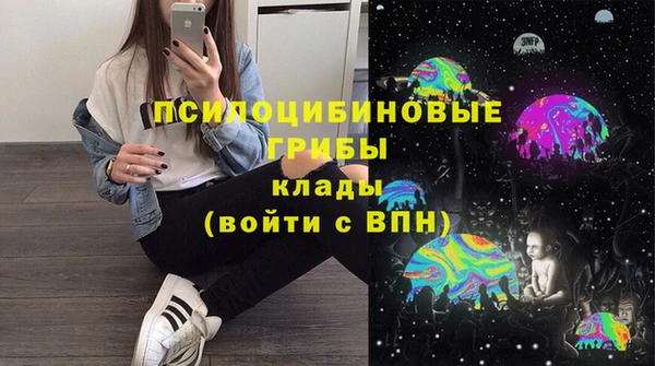 ПСИЛОЦИБИНОВЫЕ ГРИБЫ Алексеевка
