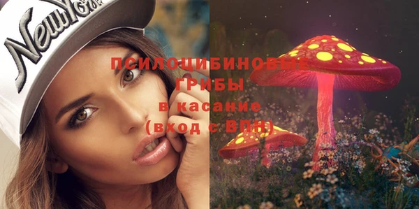 ПСИЛОЦИБИНОВЫЕ ГРИБЫ Алексеевка