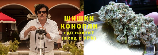 ПСИЛОЦИБИНОВЫЕ ГРИБЫ Алексеевка