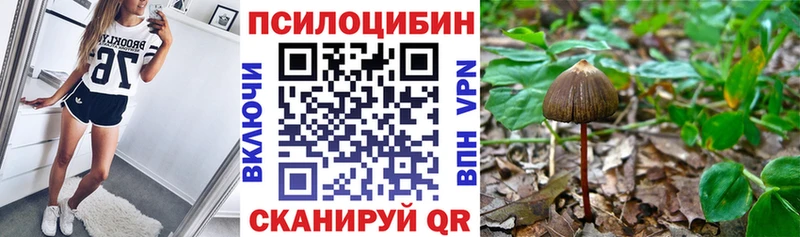 Псилоцибиновые грибы Psilocybine cubensis  наркота  Берёзовский 